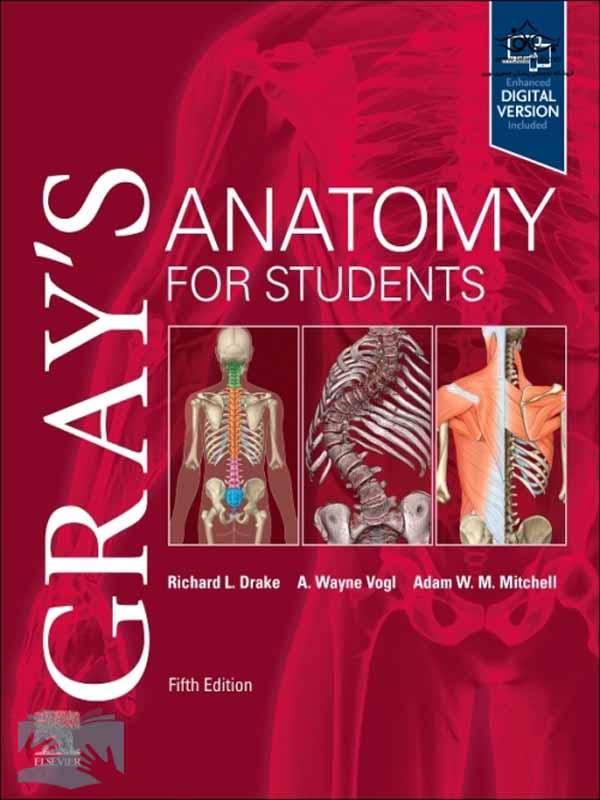 2023-5-gray-s-anatomy
